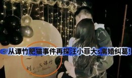 肥猫事件爆料最新,最新爆料揭露惊人内幕